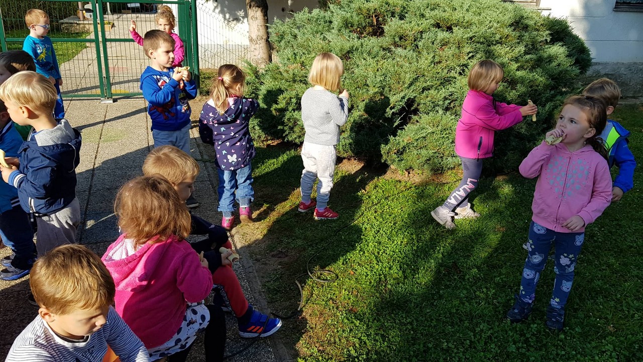 jesenski_ziv_zav_pp_2019_26