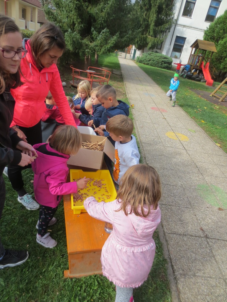 jesenski_ziv_zav_pp_2019_42