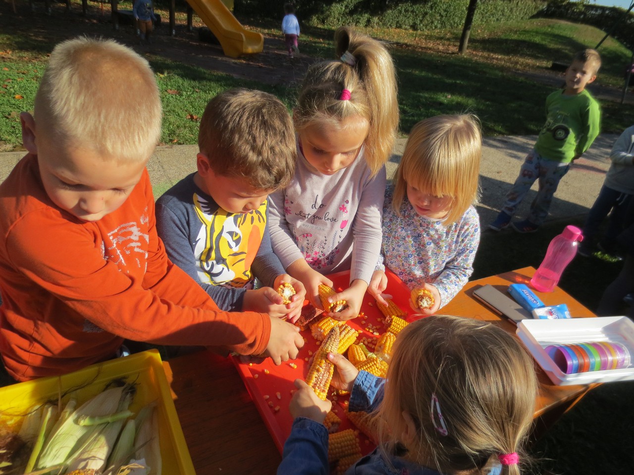 jesenski_ziv_zav_pp_2019_10 jesenski_ziv_zav_pp_2019_10
