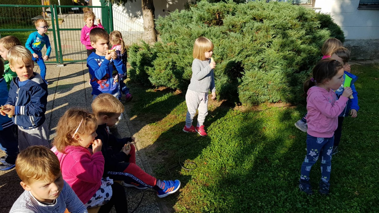 jesenski_ziv_zav_pp_2019_30