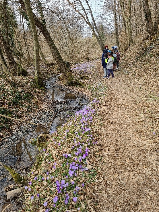 Kapljice_zivljenja_voda_april_2022_01