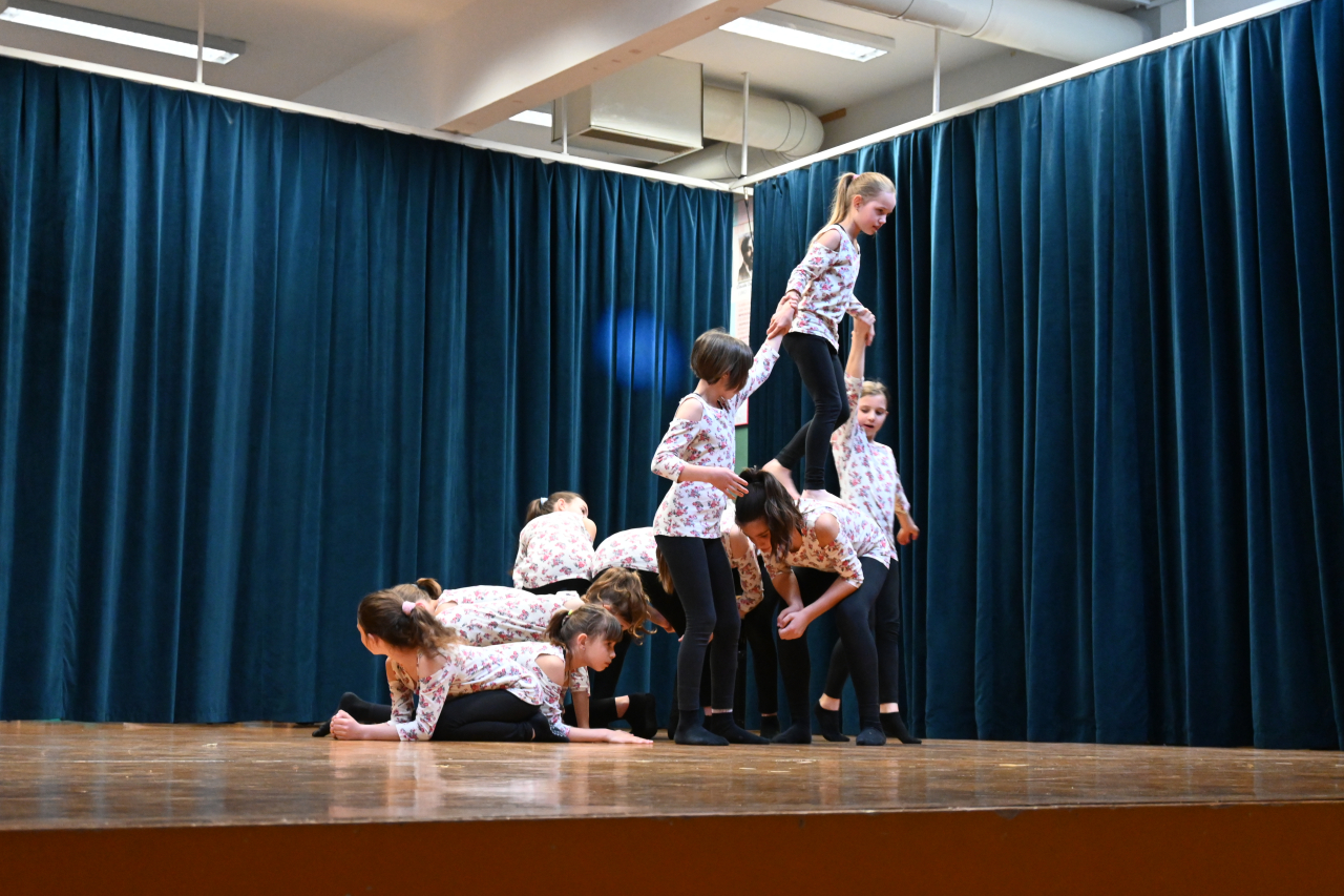DSC_0558 DSC_0558