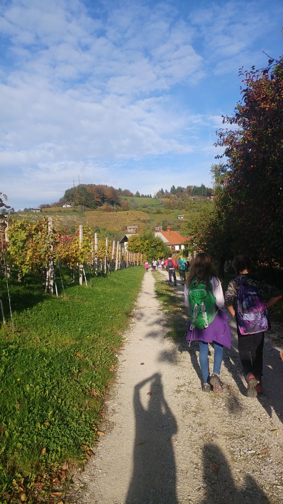 zajcki_in_grmada_2019_12 zajcki_in_grmada_2019_12